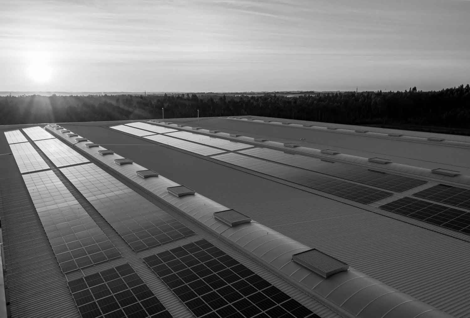 black and white image of solar panels on roofline