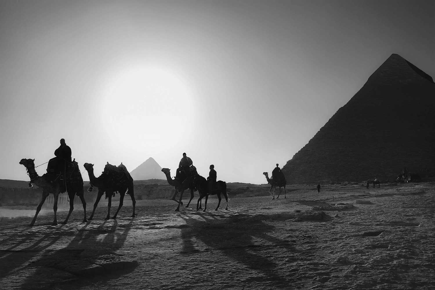 black and white image of a group of people riding camels with the pyramids of egypt in background