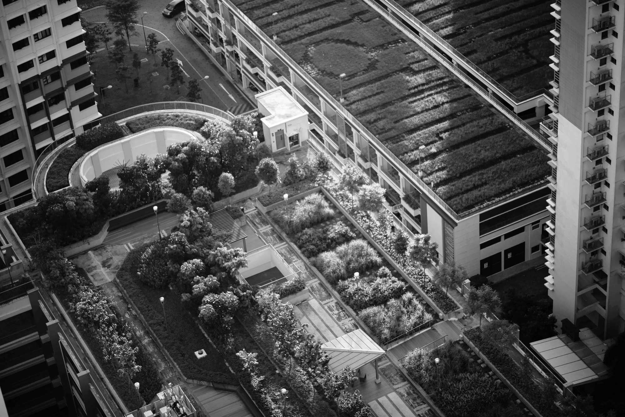 black and white image of a city with green area from above