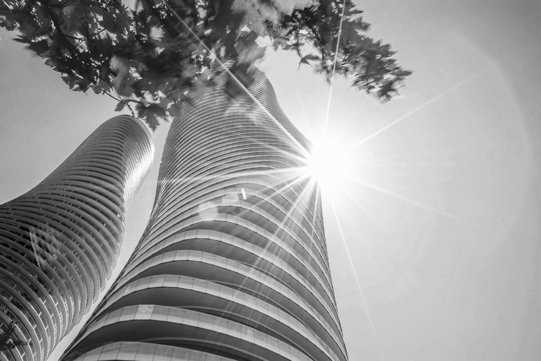 black and white image of a tall skyscraper building with sunflare and tree